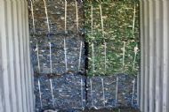 PET BOTTLE BALES